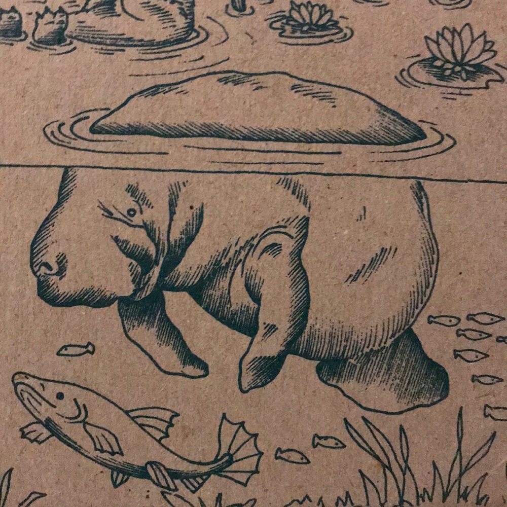 Meet your Posher, Chloe